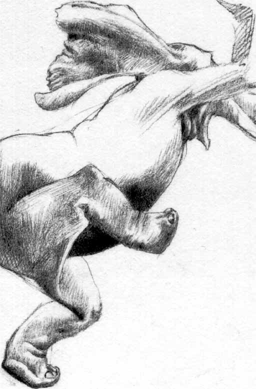 Yell Down Phant, pencil sketch detail