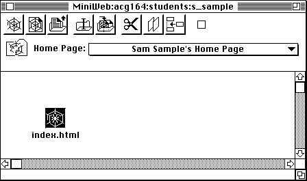 MiniWeb window after saving the home page